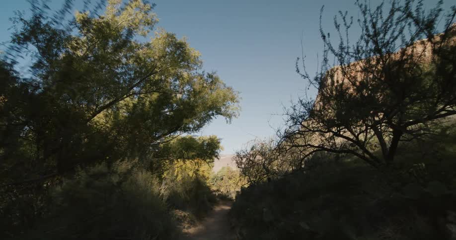 A path going up a hill by a cliff