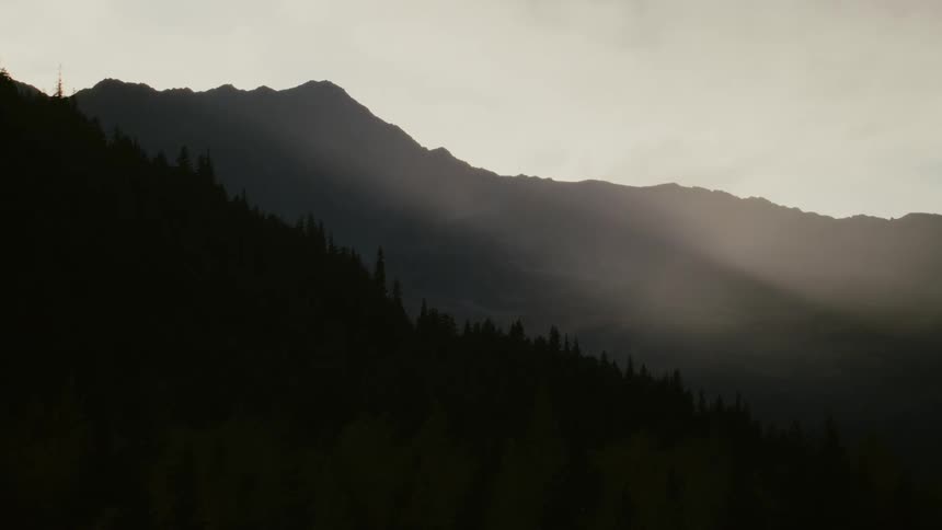 Aerial view of mountains covered with trees is displayed