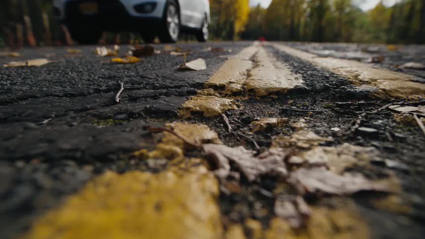 A vehicle drives down a road that runs through a forest
