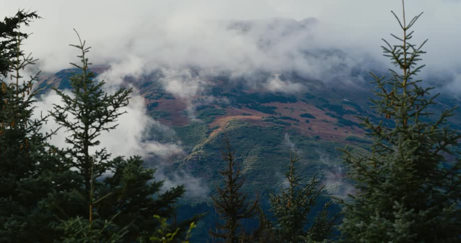 Clouds over a forest and hill