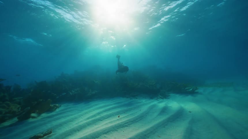 A diver is swimming backwards underwater