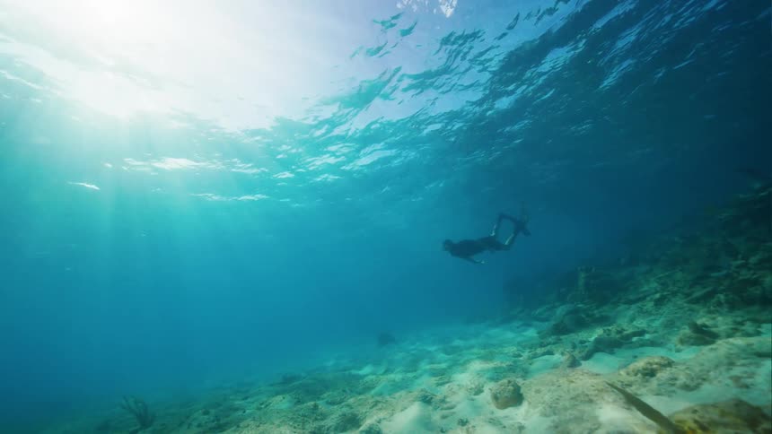 A man swims under water