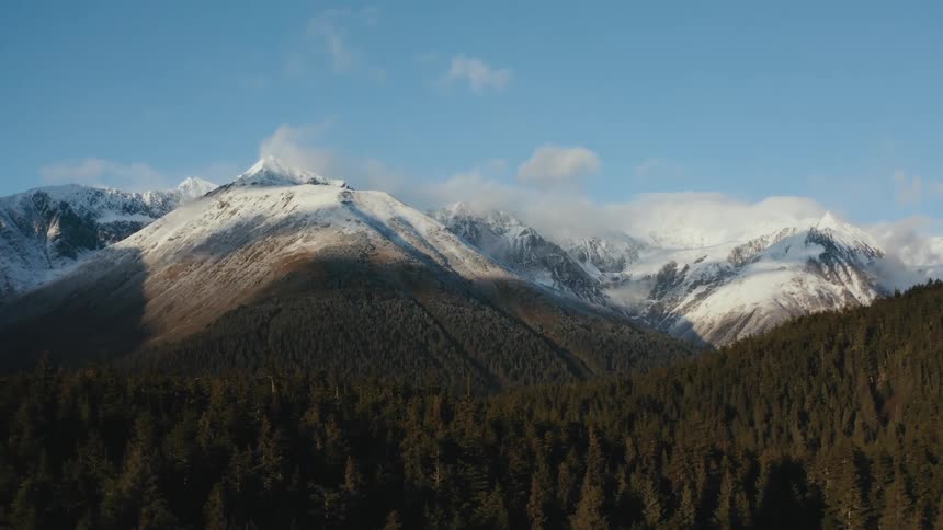 A forest filled with trees and snow covered mountains in the distance