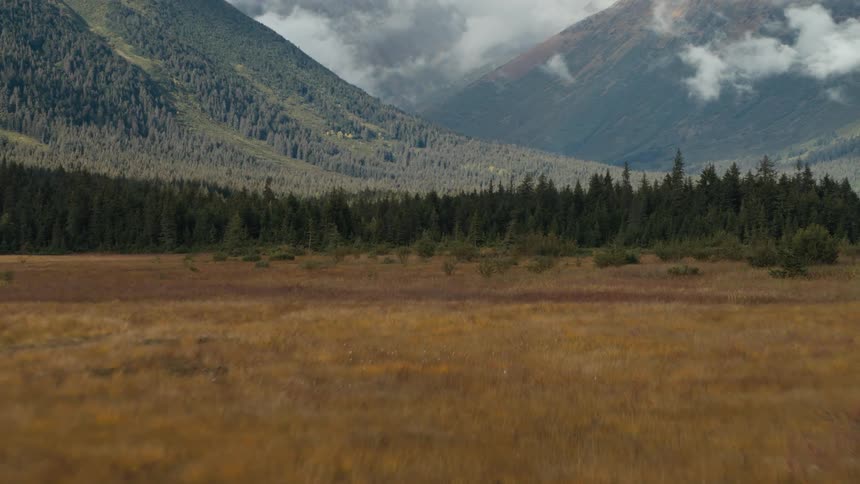 A grassland bordering a forest at the base of a mountain range during the day