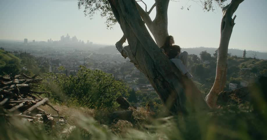 A woman is resting on the tree branch