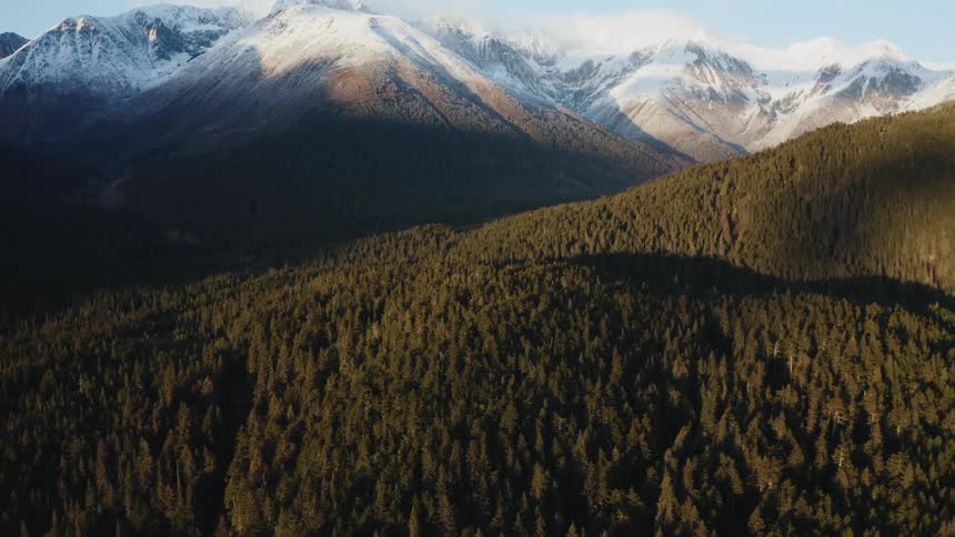 A mountain covered in green forest bordering a mountain ridge capped with snow