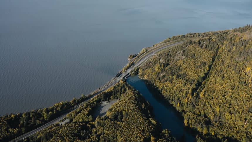 Aerial view of a wooded area near a body of water is displayed