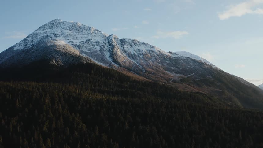 A forest filled with trees and snow covered mountains in the distance