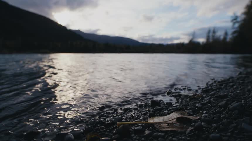 The sunlight reflects on water rippling and rolling over pebbles along the shore