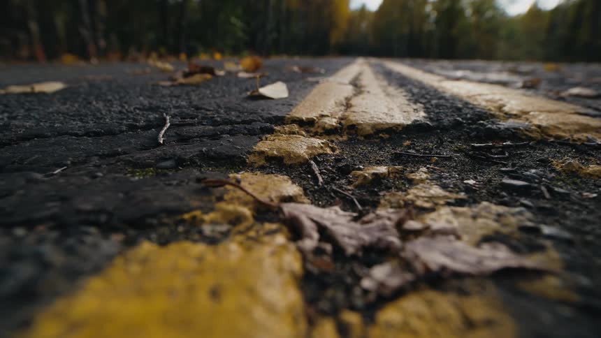 A broken patch in a road through a woodland during the day