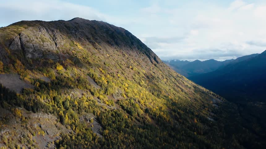 Trees cover a rocky mountain top