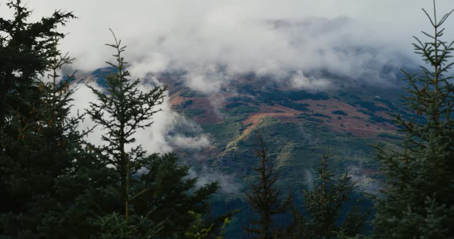 Clouds hang low over mountains filled with trees
