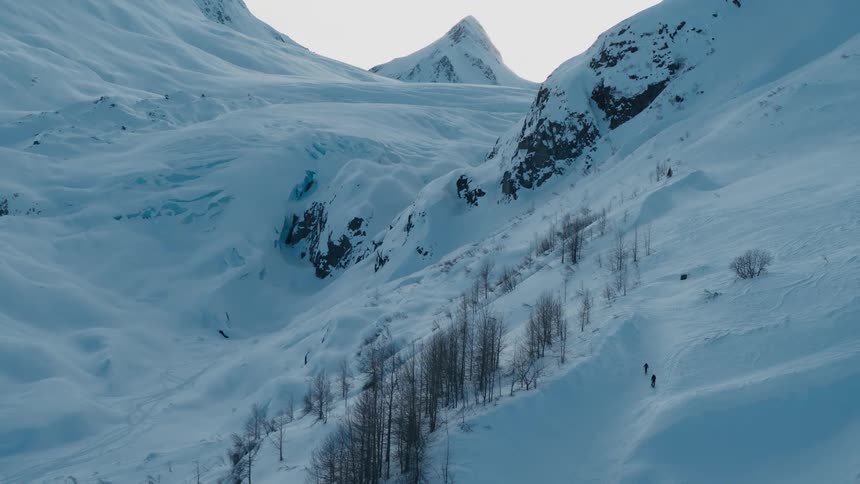 Two people move ups snow covered mountain passing leafless trees