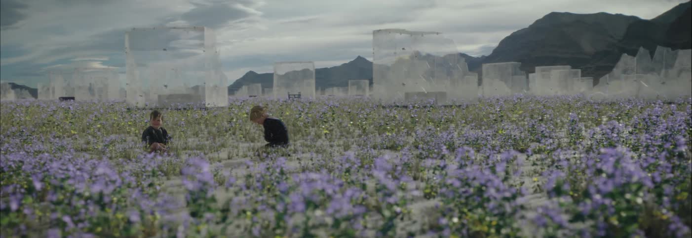 Two children sit in the flowers