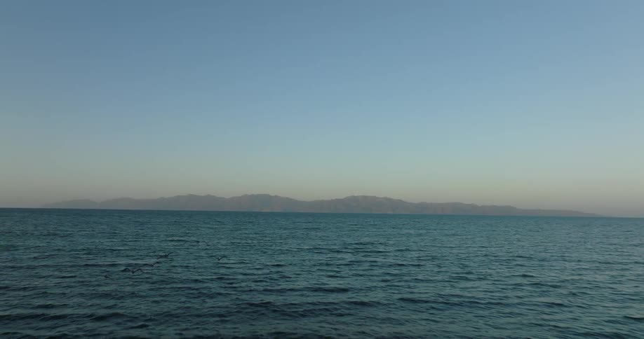 Birds fly over the ocean