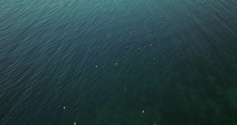 Seagulls are flying over the water as it ripples and waves