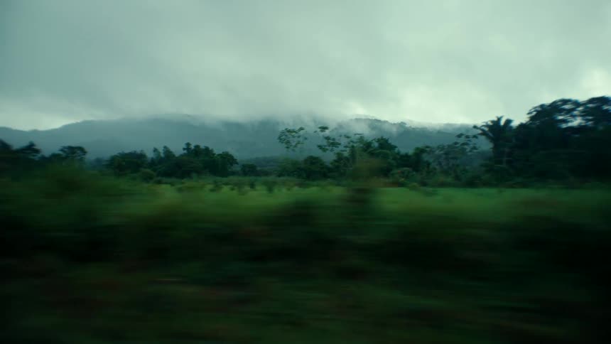 A view of the forest with mountains in the distance