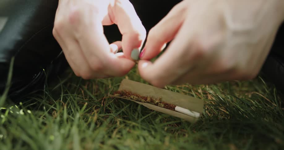 Woman places marijuana in wrapping and picks it up to roll while sitting outdoors on grass