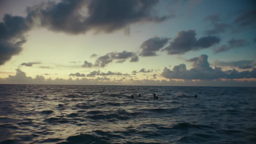 A group of people are swimming in the ocean while the sun is setting