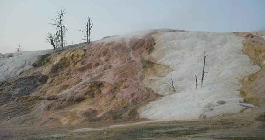 A rock formation with bare trees on it