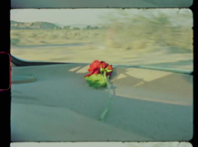 A red rose lying next to the windshield of a moving car