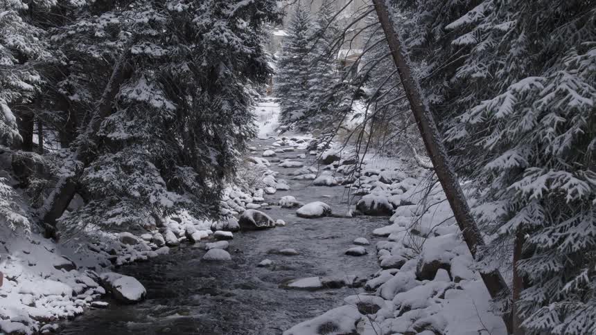 Water flows past snow covered conifer winter forest