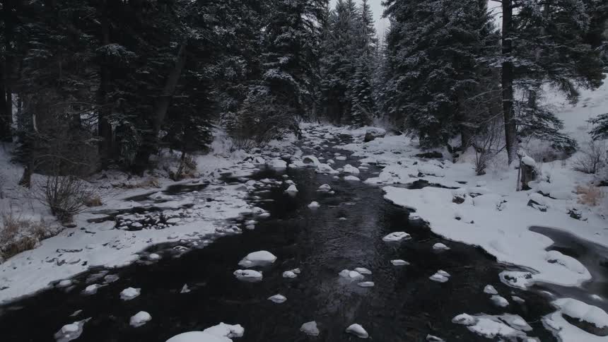 A river runs through a snowy forest