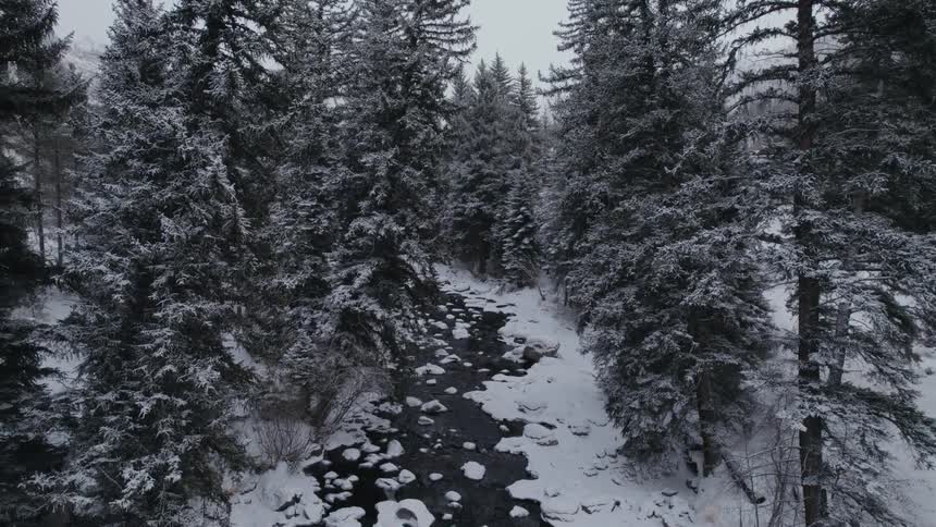 A stream runs through a snow covered forest