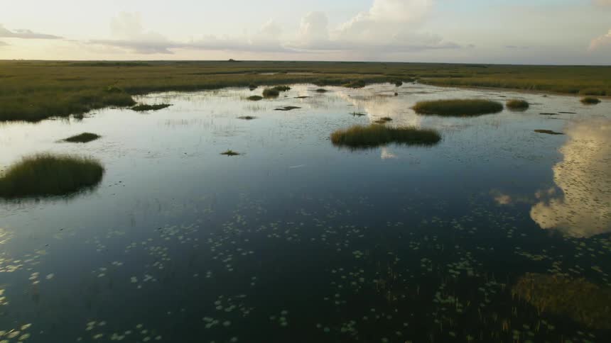 A pond and grassland is displayed as the sun is setting