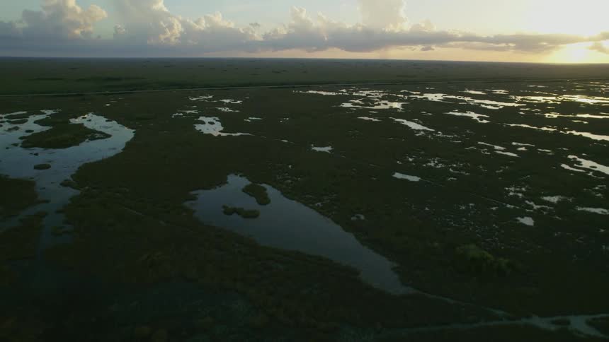 Traffic flows across road on edge of marsh as sun sits on horizon