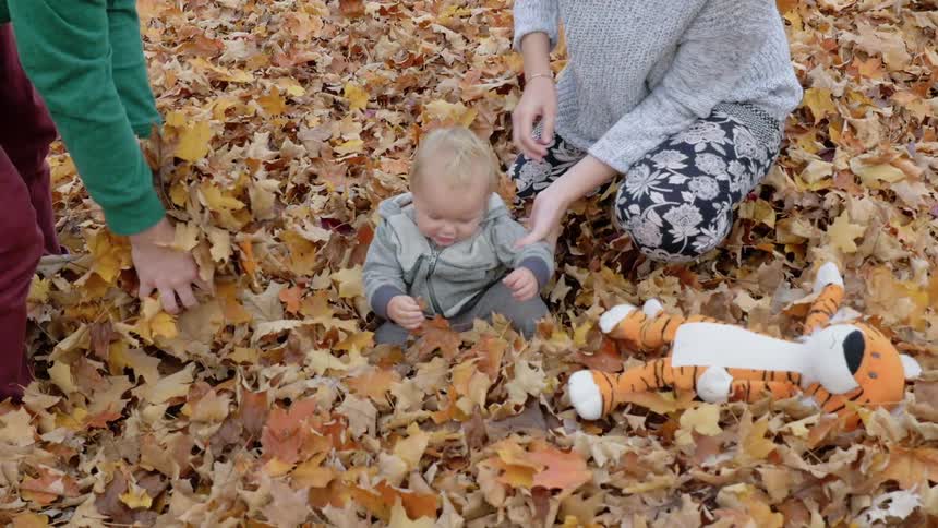 A couple and a child playing in a pile of leaves