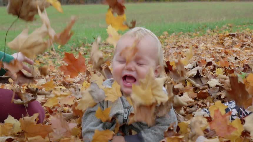 A baby and two people play in the leaves on a field