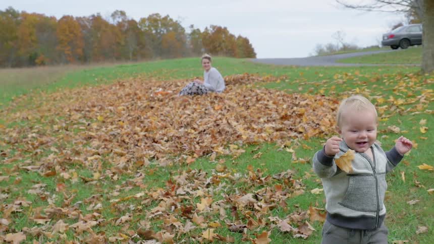A toddler walks across a yard full of fallen leaves