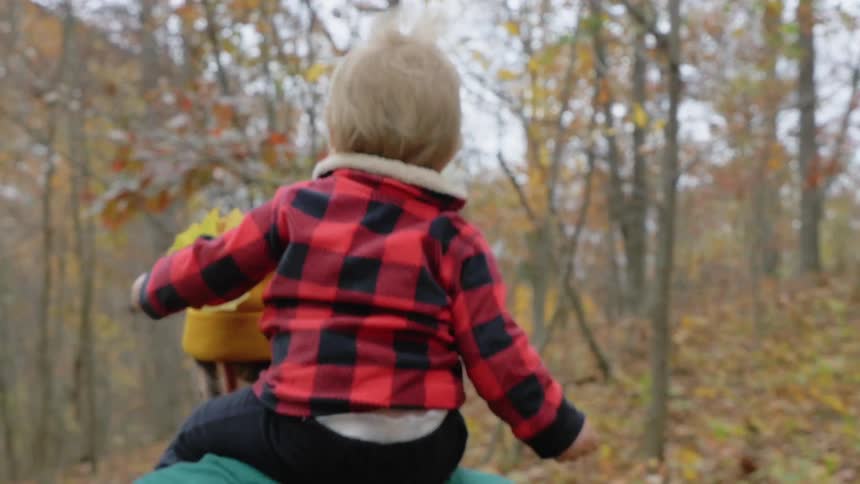 A man bounces a toddler on his shoulders as they walk through a forest