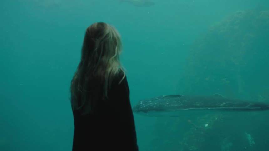 The back of a female standing at a large aquarium tank watching a fish swim past
