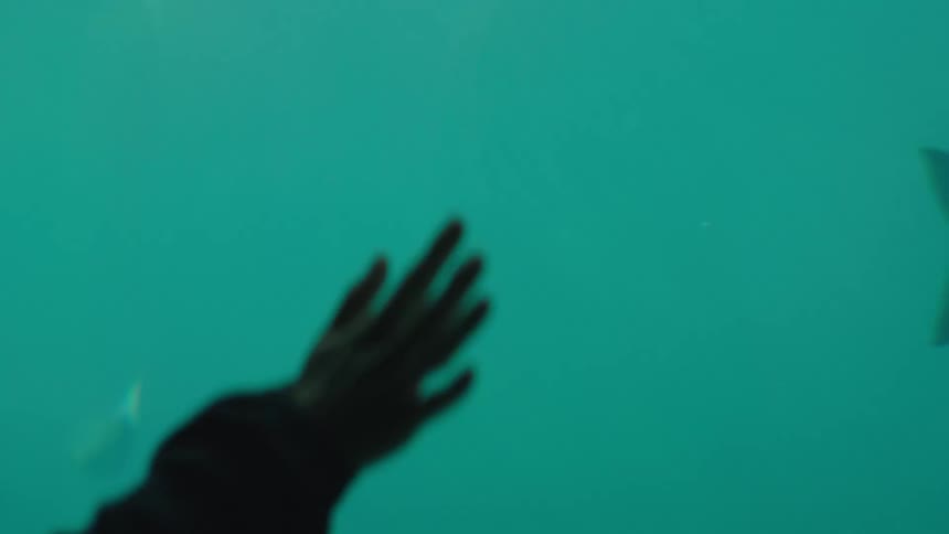 A woman is running her hand against the glass of an indoor aquarium