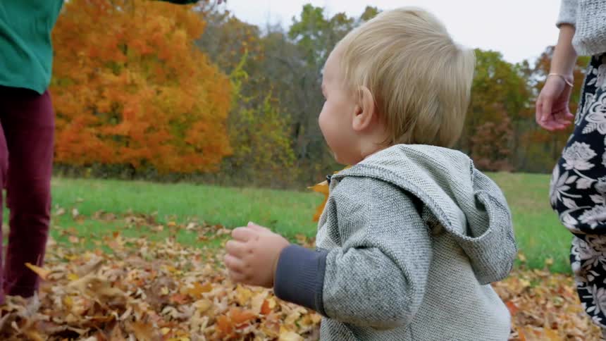 A young boy plays in leaves