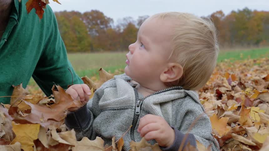 Man and child play in a pile of leaves