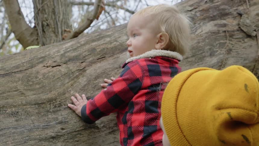 A baby pats a tree while being held by a parent