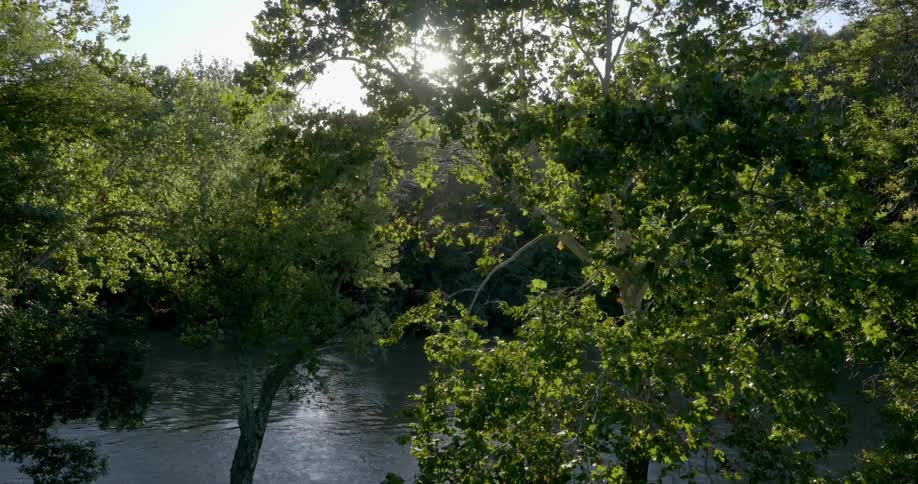 Sun shines through trees over a river
