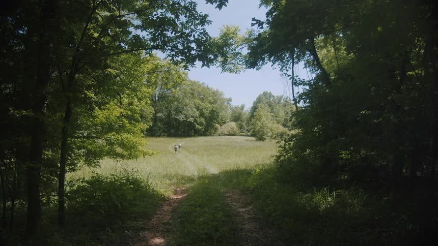 Two people are hiking on a trail in the wildernesss