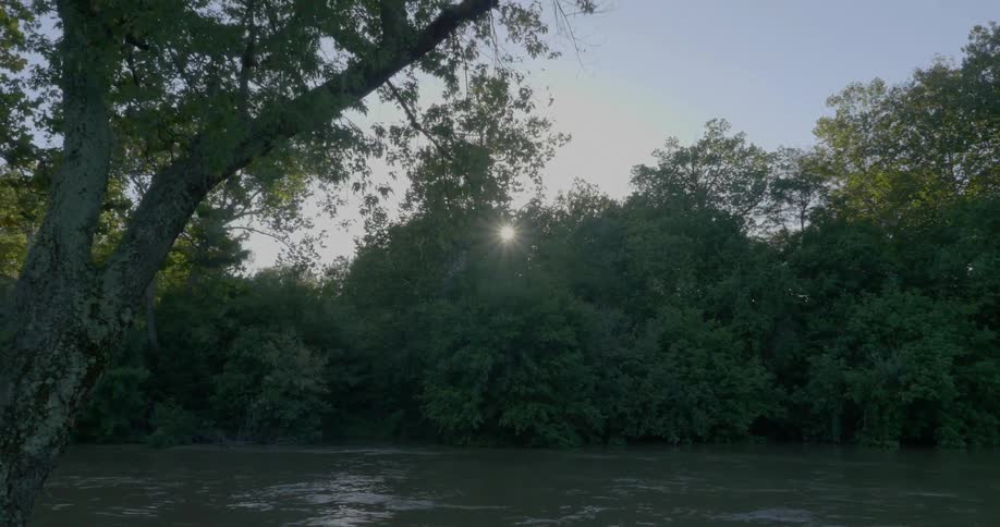 A river flows past trees under an early morning sky