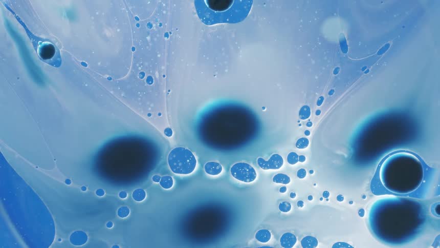 Translucent film spread to cover dark blue blobs floating in liquid with particles