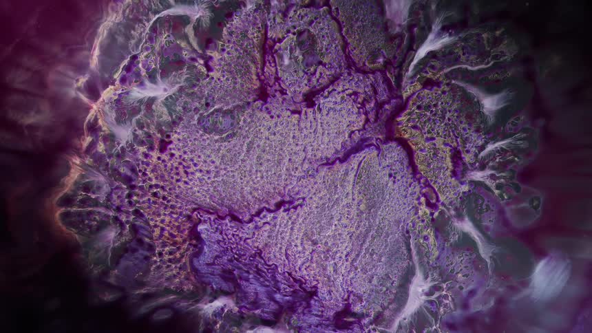 Waves of colorful bright white and purple ink floating over a black background