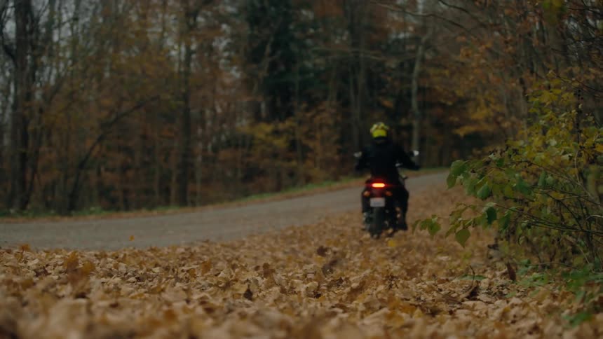 A person is riding a motorcycle on a road in the fall season
