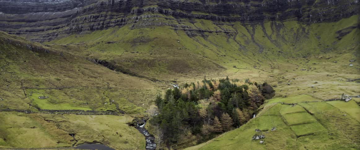 A grove of trees in a hilly landscape