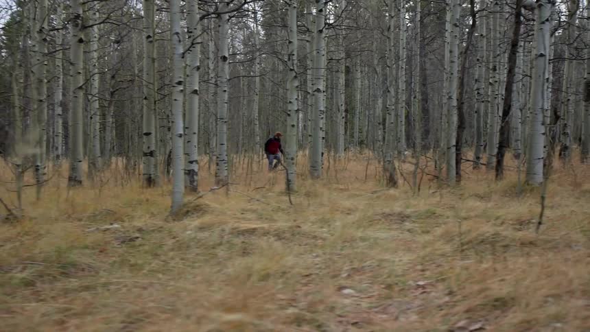 A man walks in the woods
