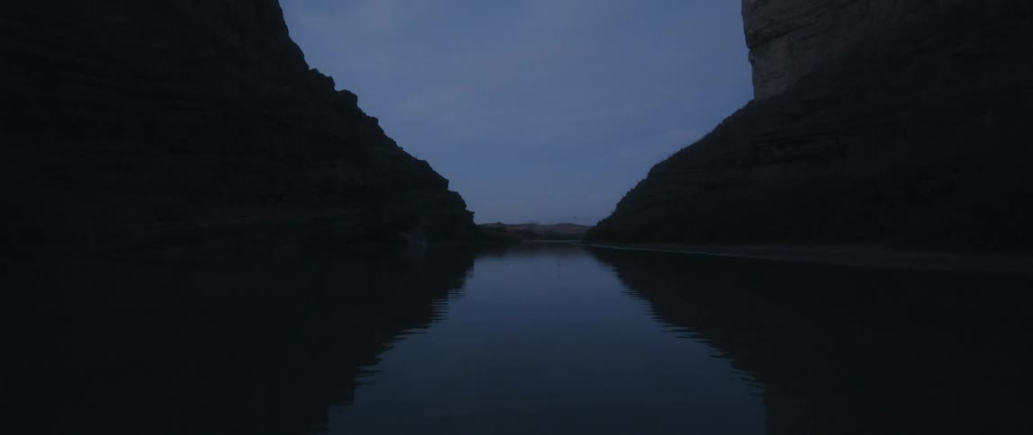Birds flying over a river
