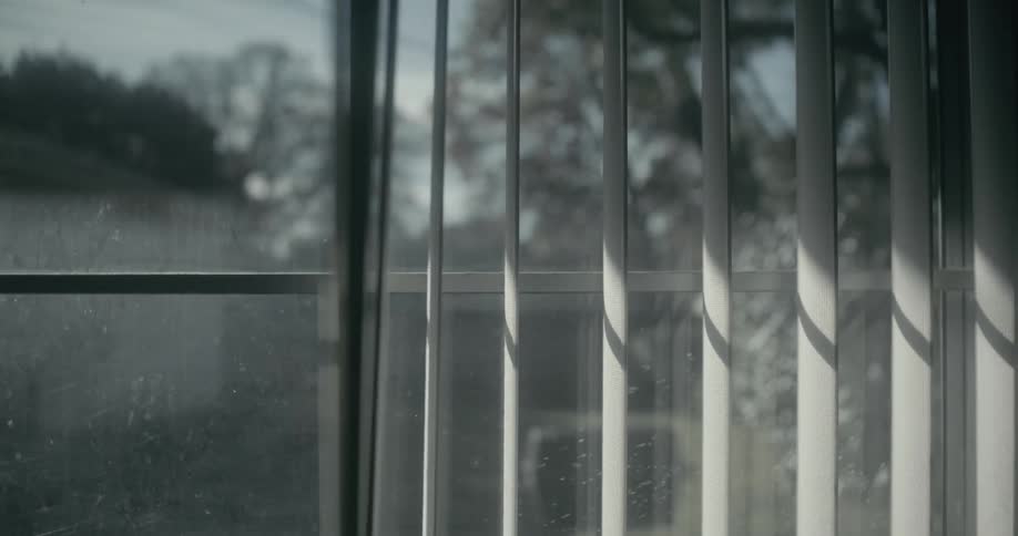 Venetian blinds open up revealing the trees outside a window at morning