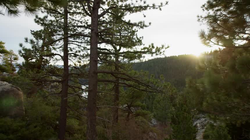 The sun setting in a mountain forest landscape